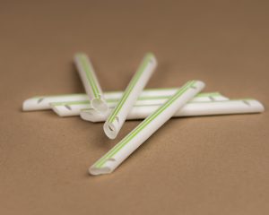 hygoventbiobrun7_webb