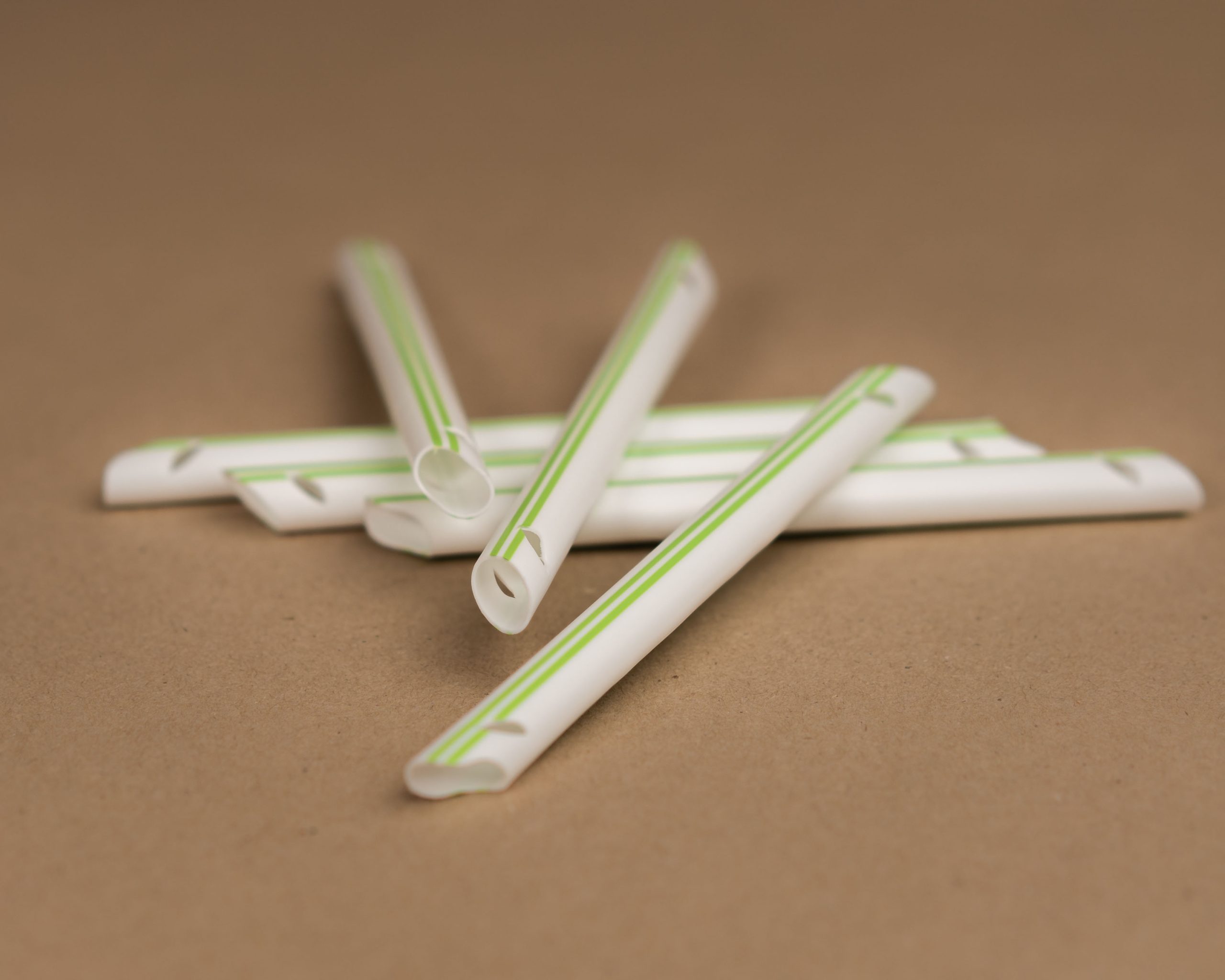 hygoventbiobrun7_webb