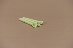 spotnix_bio_2023_17_1